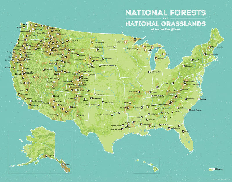 USA National Forests & Grasslands map print - green & aqua