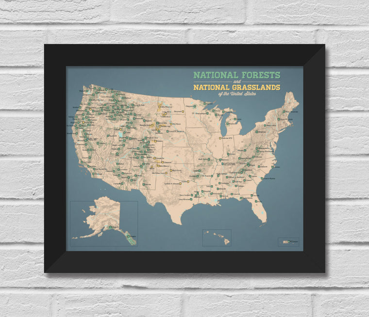 US National Forests Map 11x14 Print