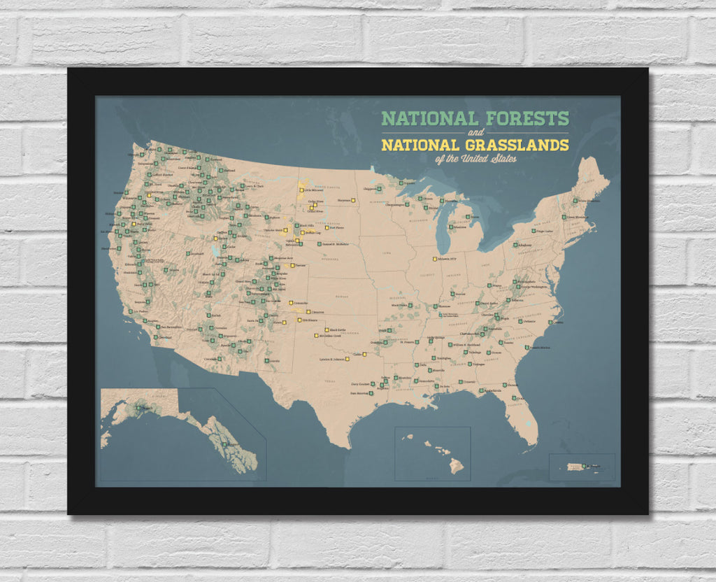 US National Forests Map 18x24 Poster