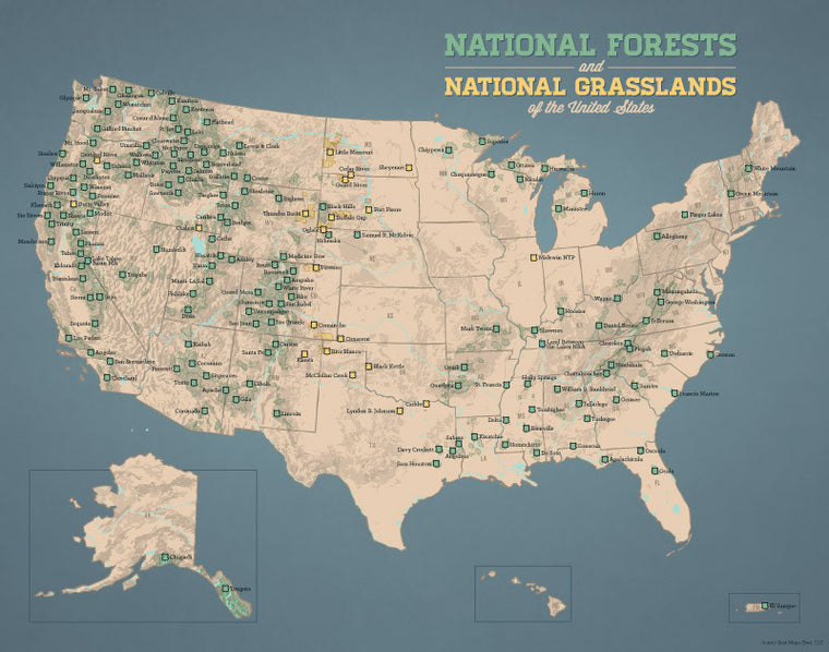 USA National Forests & Grasslands map print - tan & slate blue