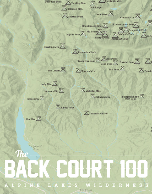 Seattle, Washington 'Back Court 100' Map Print - sage