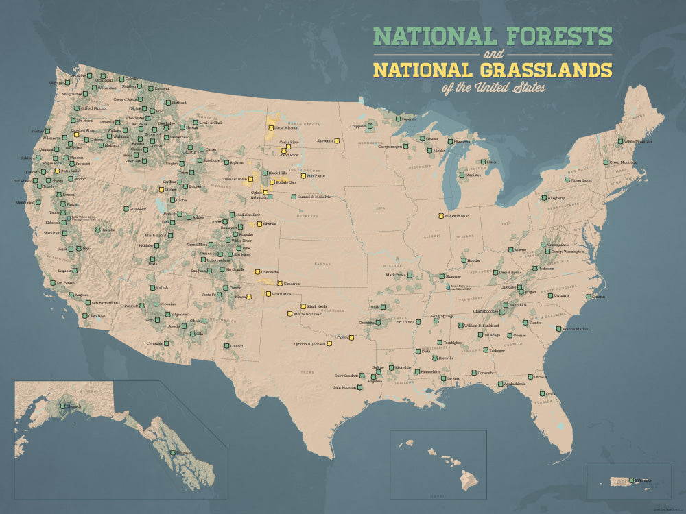 USA National Forests & Grasslands Map Poster - tan & slate blue