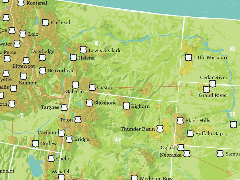 USA National Forests Map Poster - green & aqua