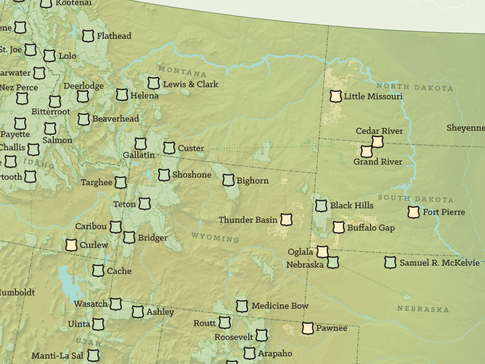 USA National Forests Map Poster - green & white