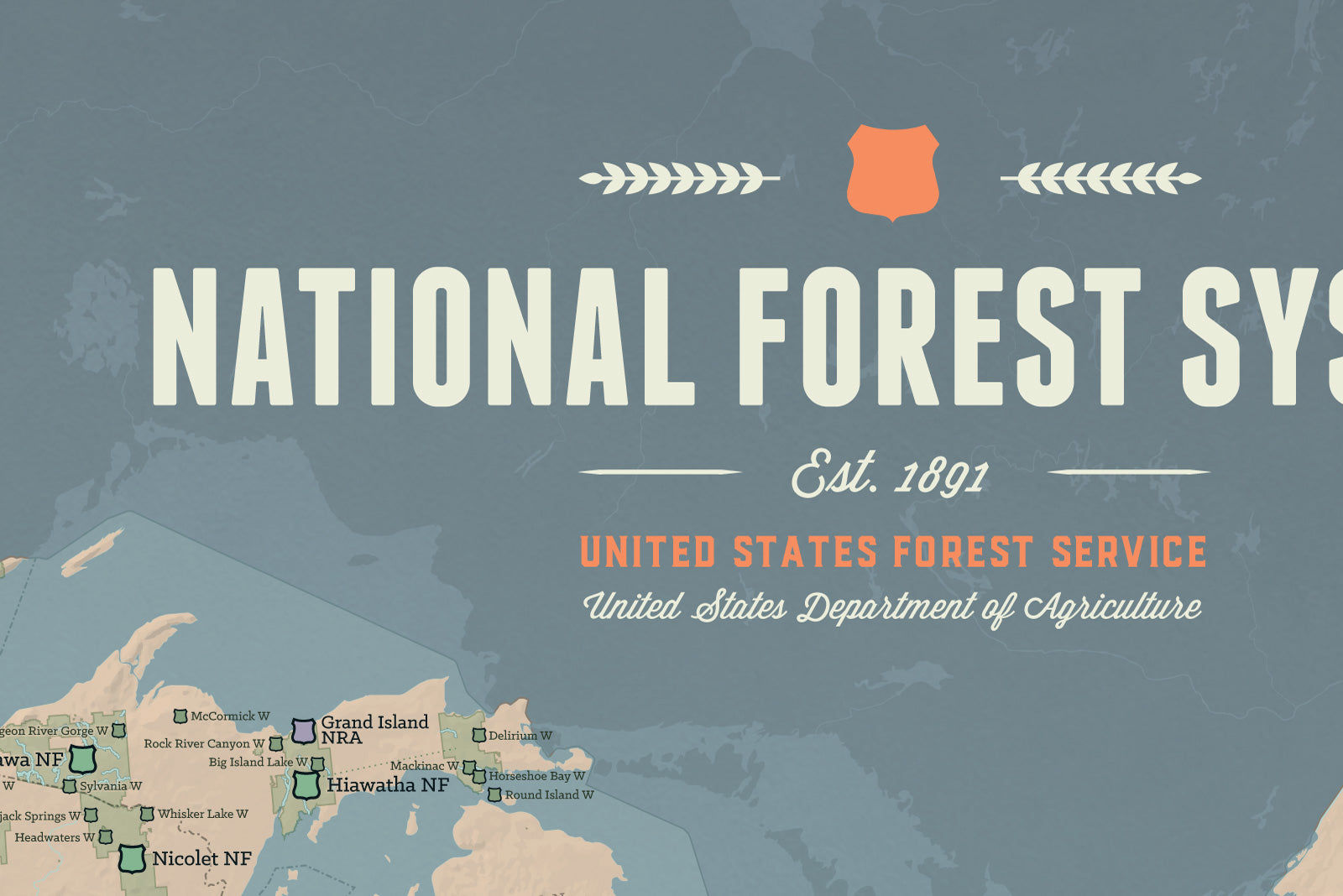 USA National Forest System Map Poster - tan & slate blue