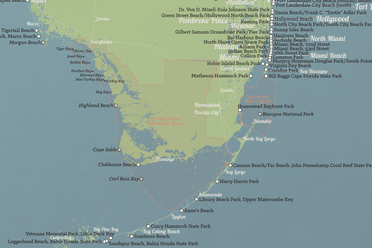 Florida Beaches Map Poster - natural earth